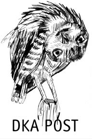 downside head owl.jpg