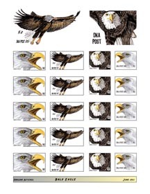 mixed eagle sheet.jpg